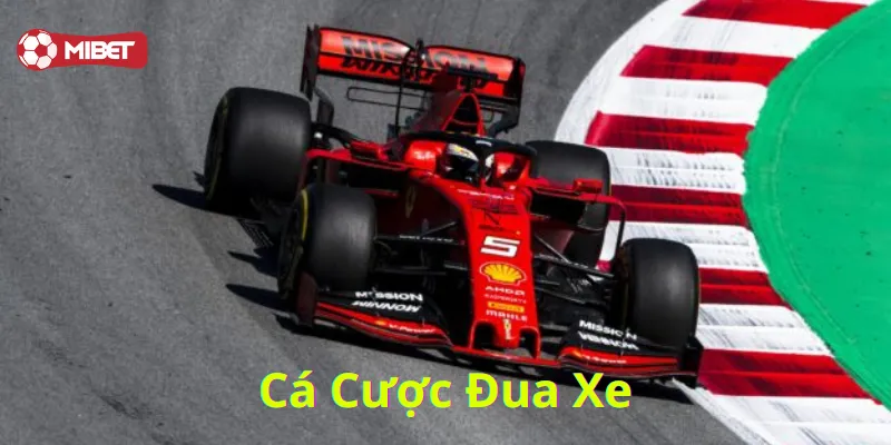 Các hình thức Cá Cược Đua Xe
