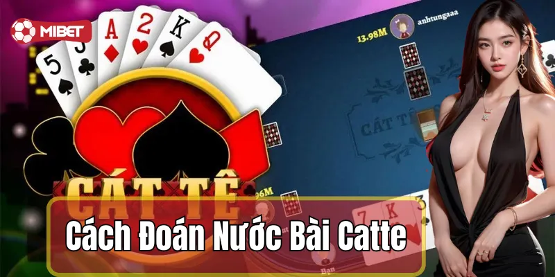Cách đoán nước bài catte hiệu quả