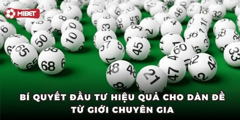 Bí quyết đầu tư hiệu quả cho dàn đề từ giới chuyên gia