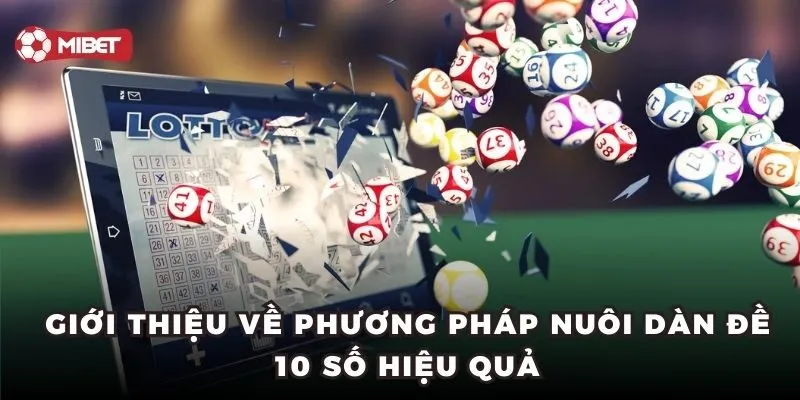 Giới thiệu về phương pháp nuôi dàn đề 10 số hiệu quả