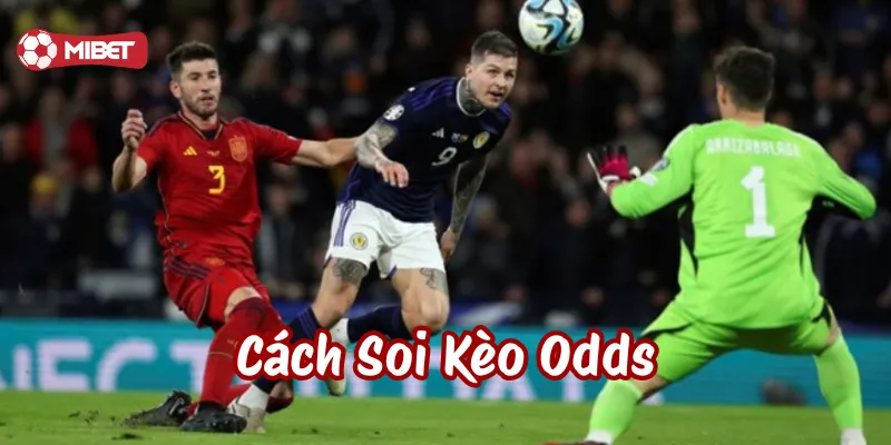 Cách Soi Kèo Odds là gì?