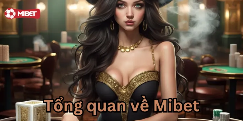 Tổng quan về nhà cái